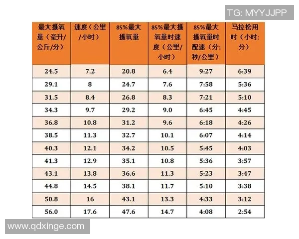 上海篮球队在耐力排行榜中荣登第八名展现出强大实力与潜力