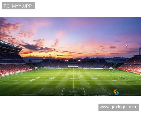 在绿茵场上拼搏奋斗为梦想而战的足球精神